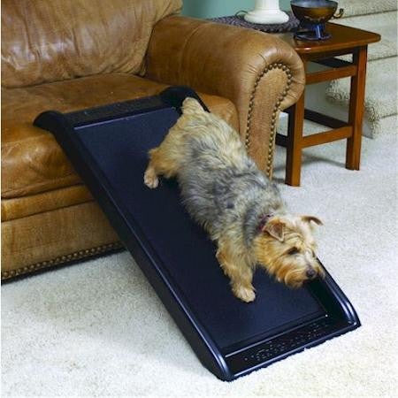 Smart Dog Ramp Jr