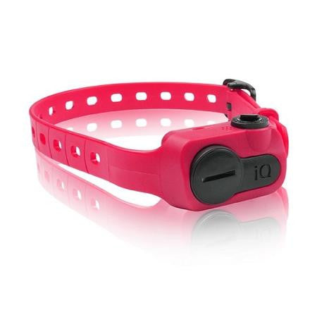 iQ No Bark Collar Pink