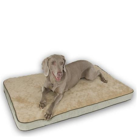 Memory Sleeper Dog Bed - Small-Mocha