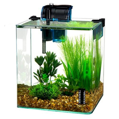 Vertex Desktop Aquarium Kit